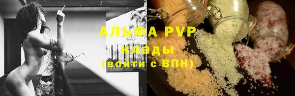 стаф Бугульма