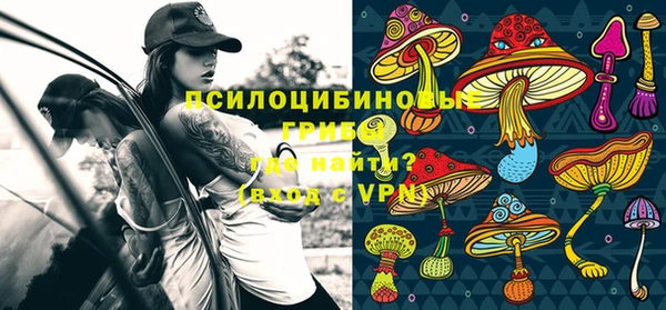 крисы Верея