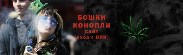 крисы Верея