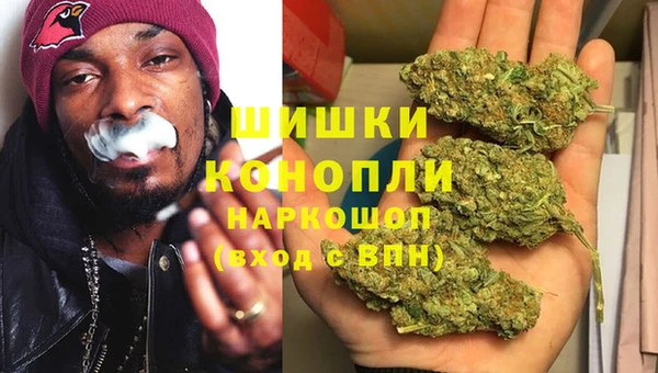 гашик Тавда